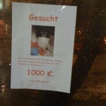 Hund